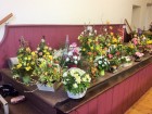 Special Floral Hobby Afternoons March 2016 part one